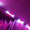 led.lightszz100