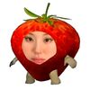 liyon_s