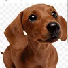 user20482090719966