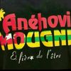 follyviksontongneviadjig
