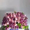 anitatorres496