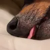 justwatchingvidsok