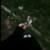 xei_29