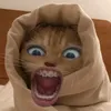 jaredayen