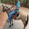 jp_ferreira_2k25