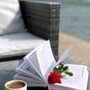 sara.1dasrda