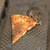 da_pizza_rat