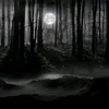 aloneshade