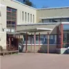 lintumetsä