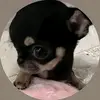 noonewantsyouropnions