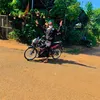 lanthai47eahleo1798