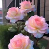 baongocle._1408