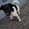 vincentheijdacker5