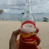 thedevilmee2