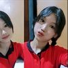_dlsel