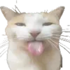 supremodv