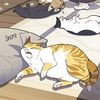 just_seika