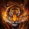 user7962013368618