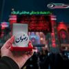 syedmurshid512