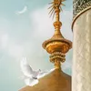 salmankhanlodhi8