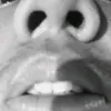 livelaughlovevlad