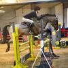 irg.showjumping