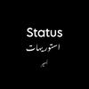 status_amir_