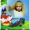 amir_ali_aaa_758