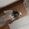 ayma.xzp