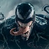 venom_yyyyyyyy