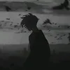 hokizebare