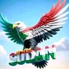 user8815728381833
