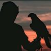 mustafayev__010