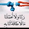user31324302174650