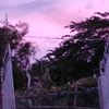 co.ca_10