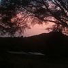 rocio_12v