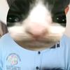 jesedaydelacruz