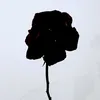 rip_end6