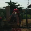 angelineclamares5