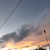 haann___16