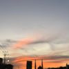 berugayo04