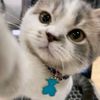 zizyee_