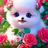 ashlan333