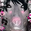 user2857912761970