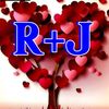 rashedahmed9349