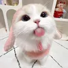 what the mew?