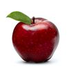 thefamouscoolapple