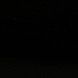 5stars_3xotic