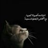 user1412337432961