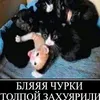 chikatilo0101